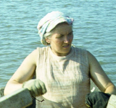 264-1.jpg