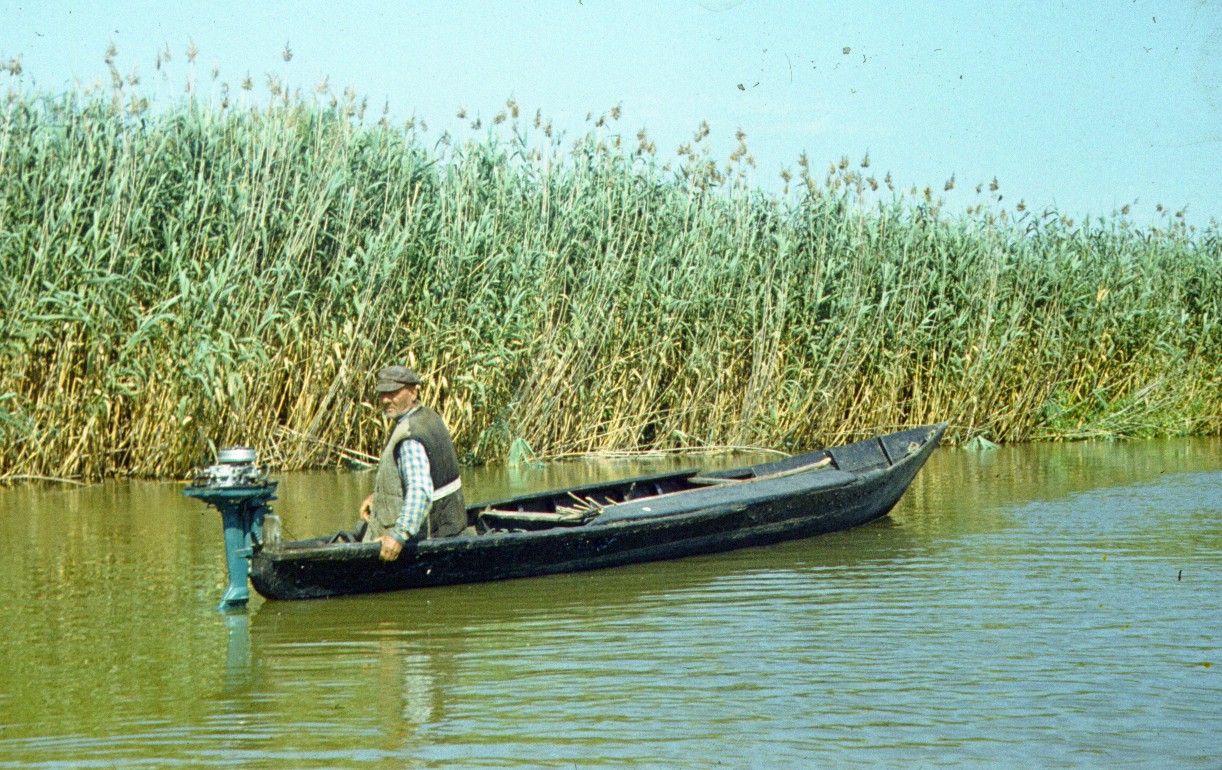 268.jpg