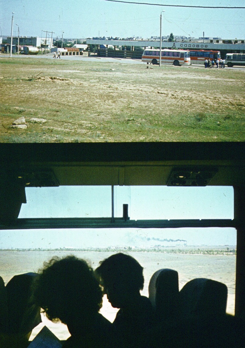 310.jpg
