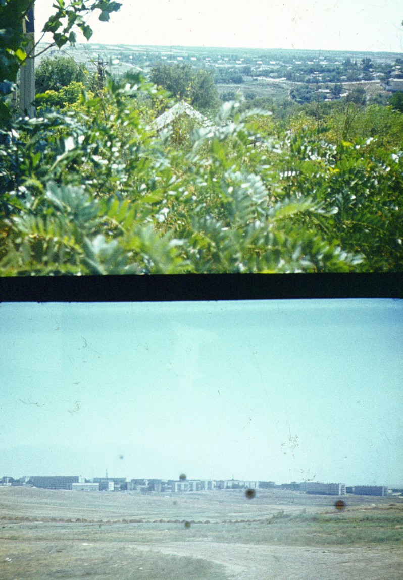 313.jpg
