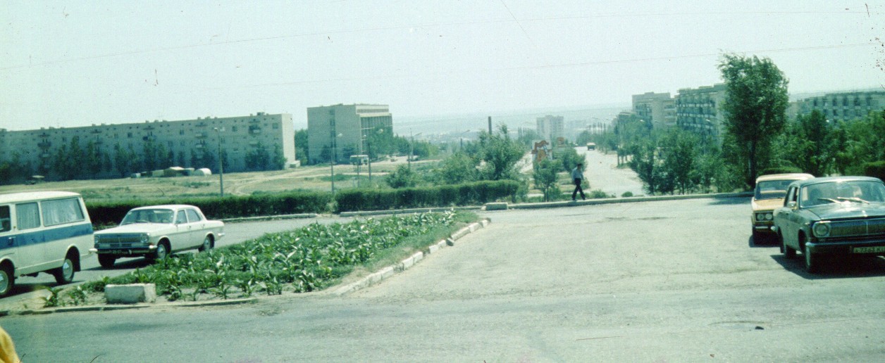 317.jpg