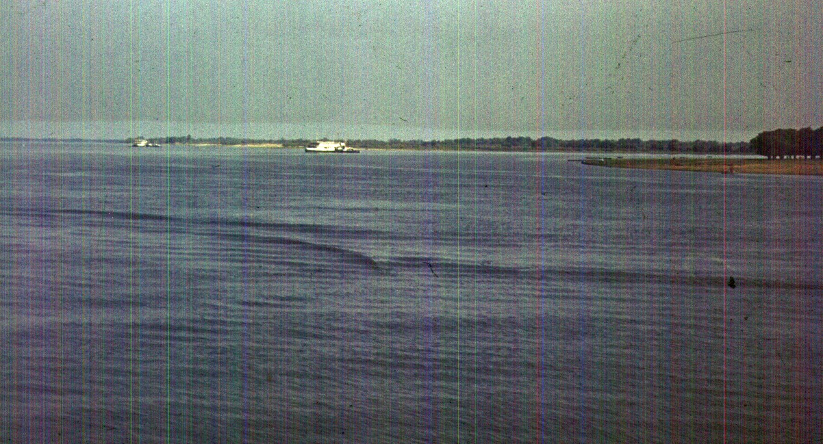 047.jpg