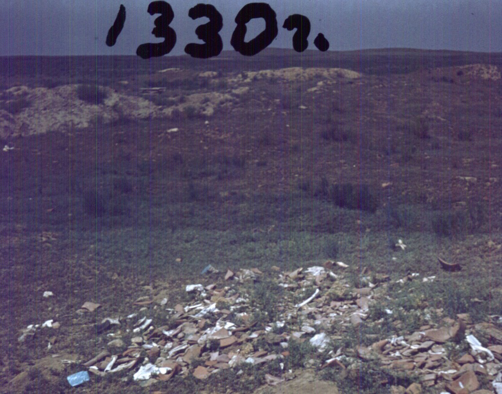 070.jpg