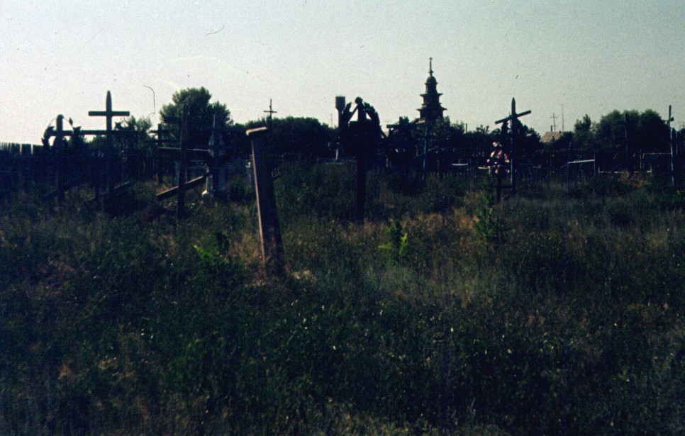 129.jpg
