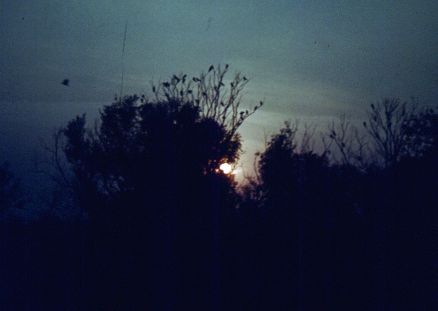 154.jpg