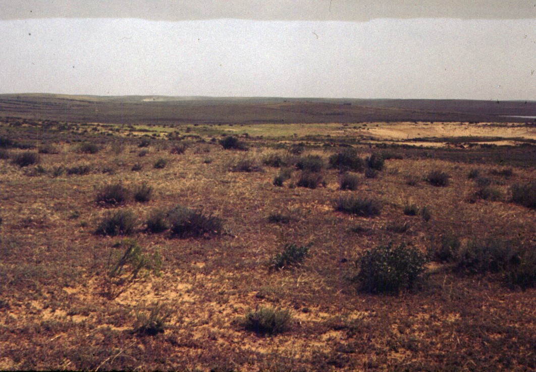 164.jpg