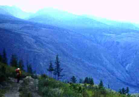 010-1.jpg