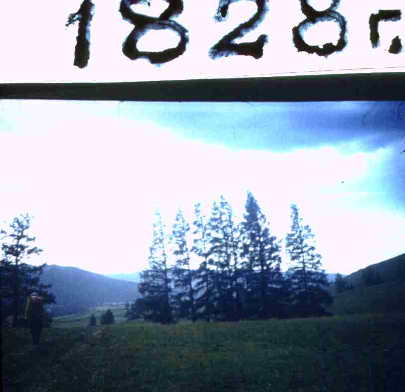 107.jpg