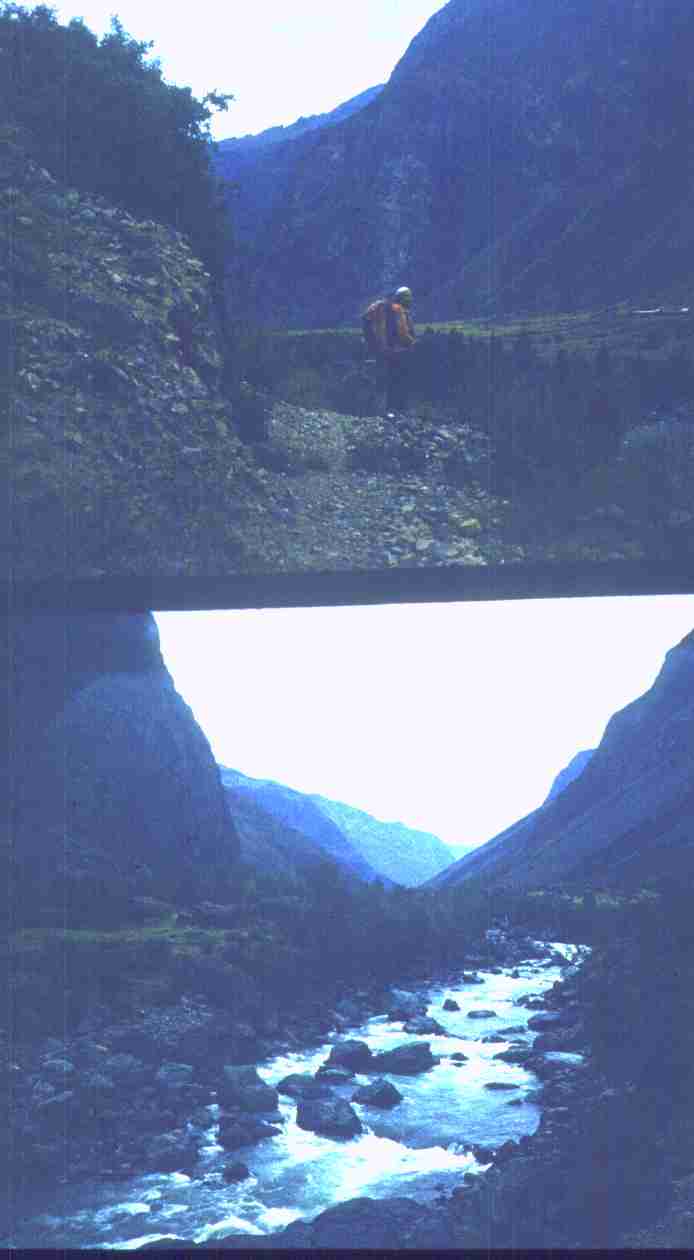 164.jpg