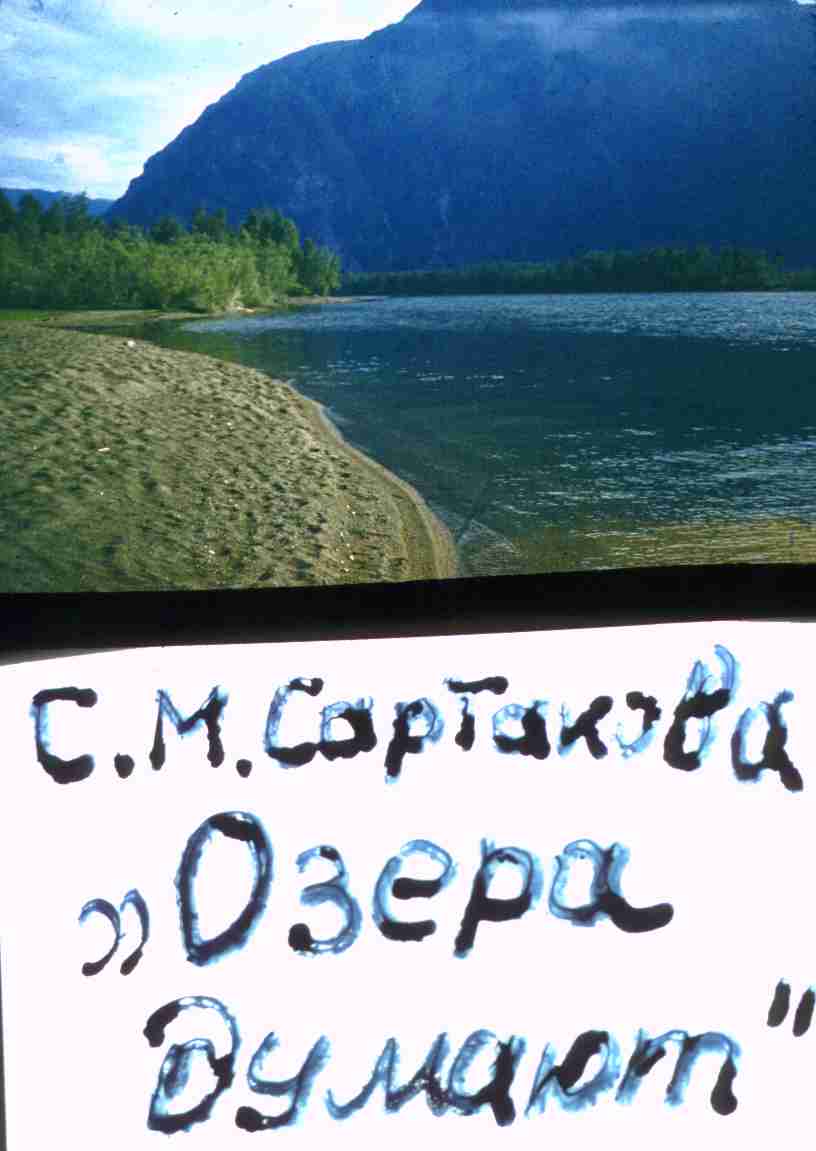 218.jpg