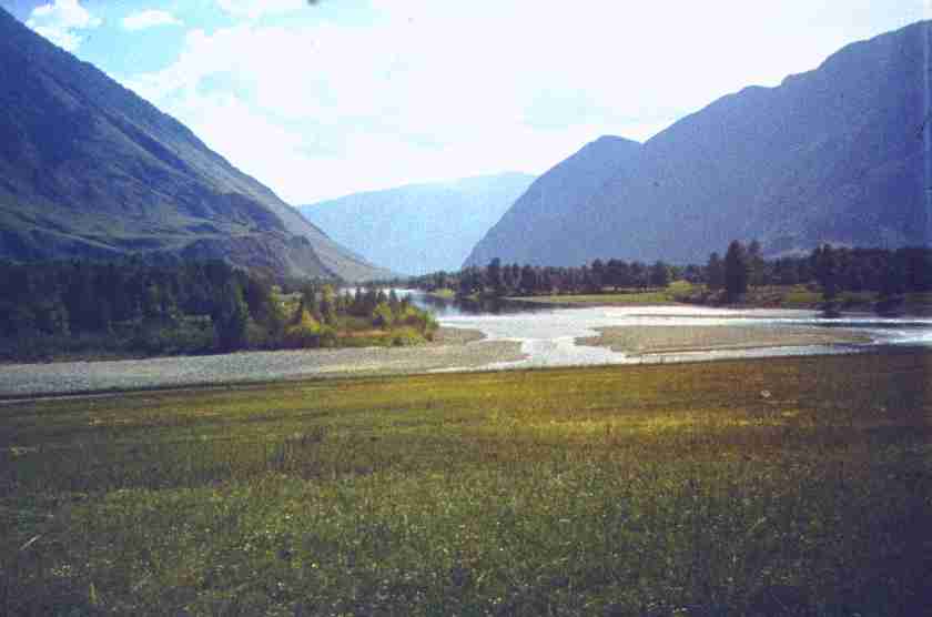 227.jpg