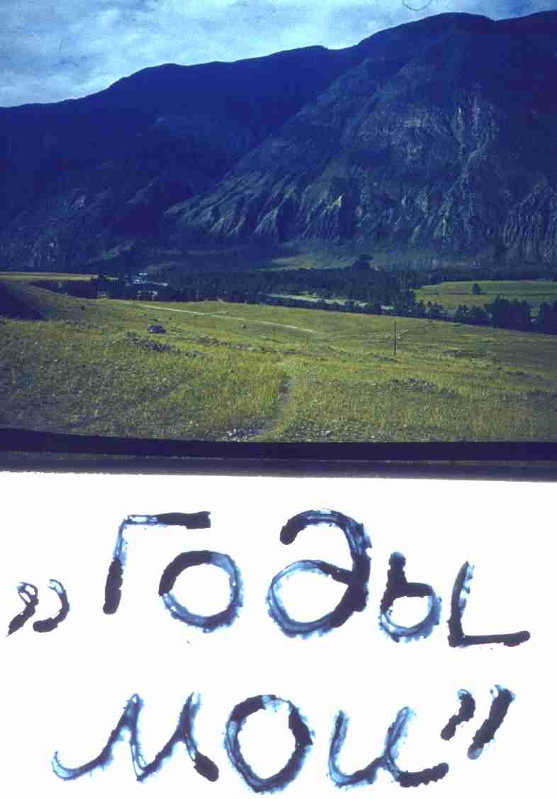 230.jpg