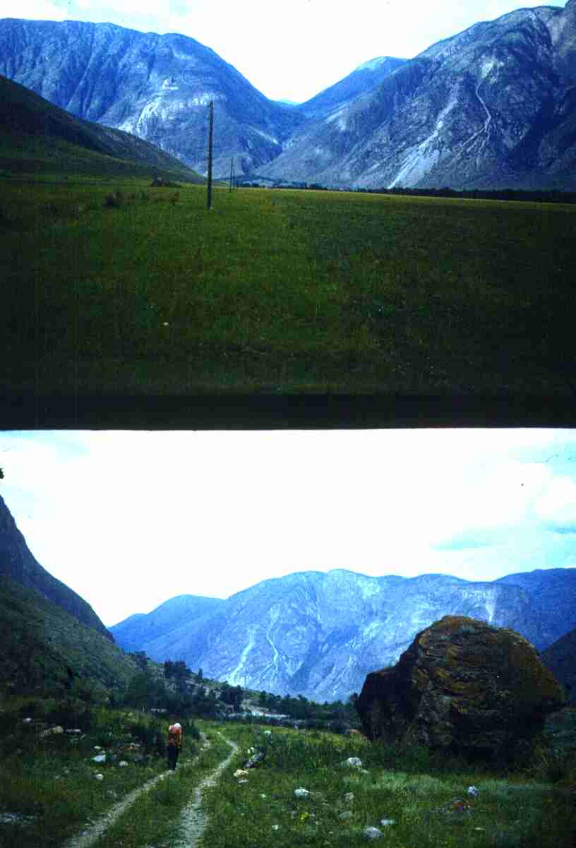 239.jpg