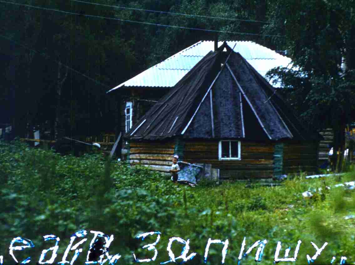 245.jpg