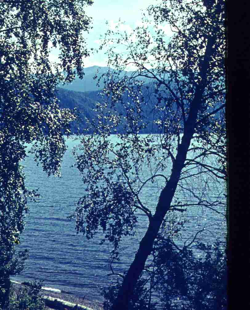 258.jpg
