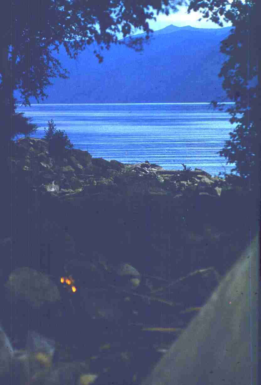 265-1.jpg