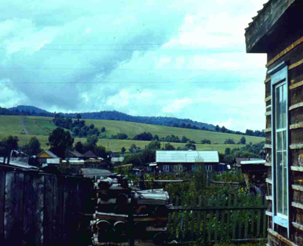 347.jpg