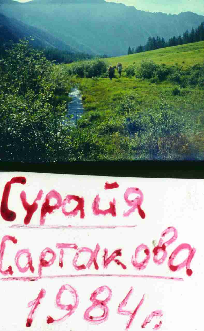 003-1.jpg