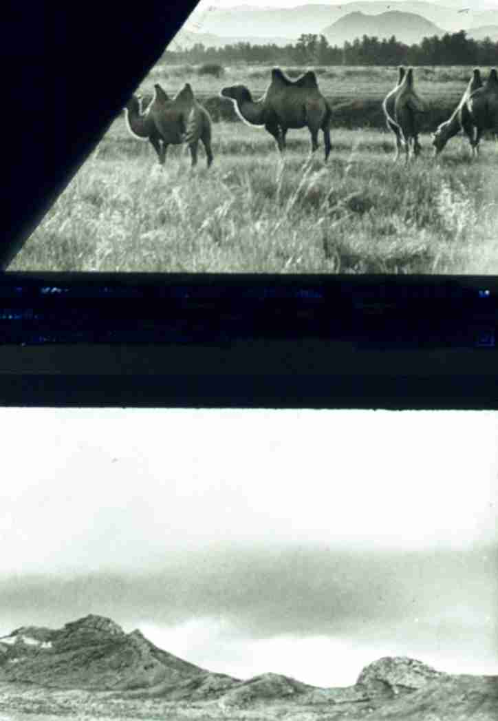 030.jpg