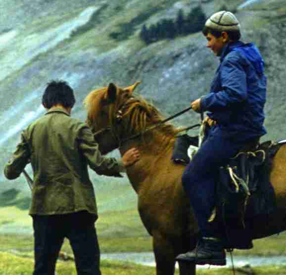 085-1.jpg