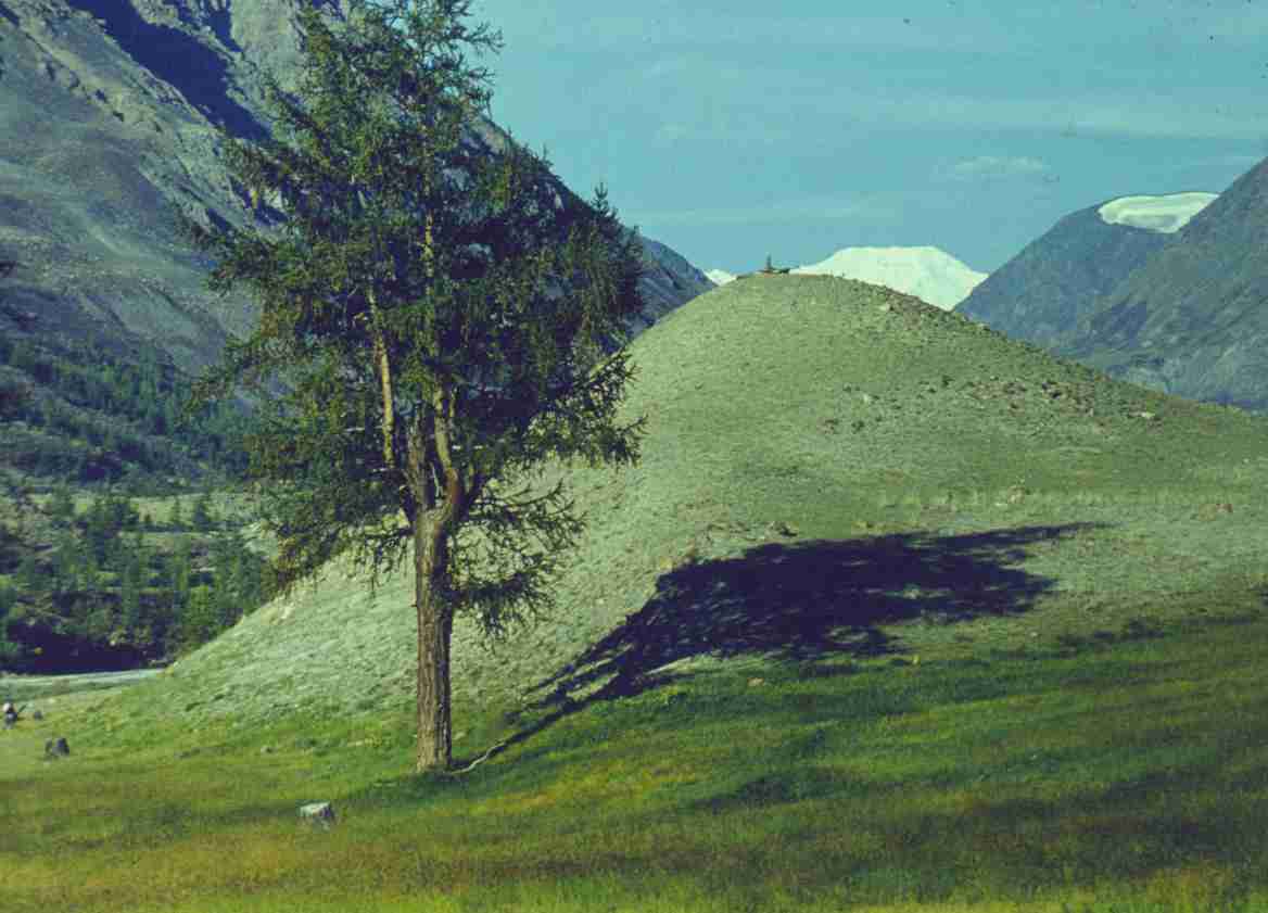 119.jpg