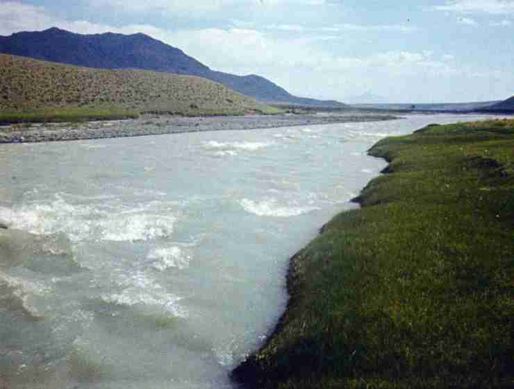 126.jpg