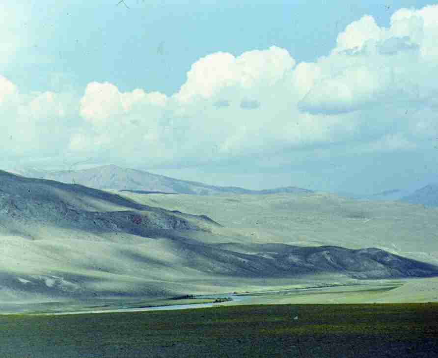 147.jpg