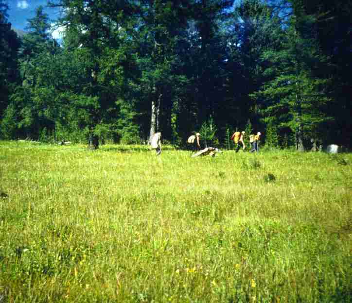 154.jpg
