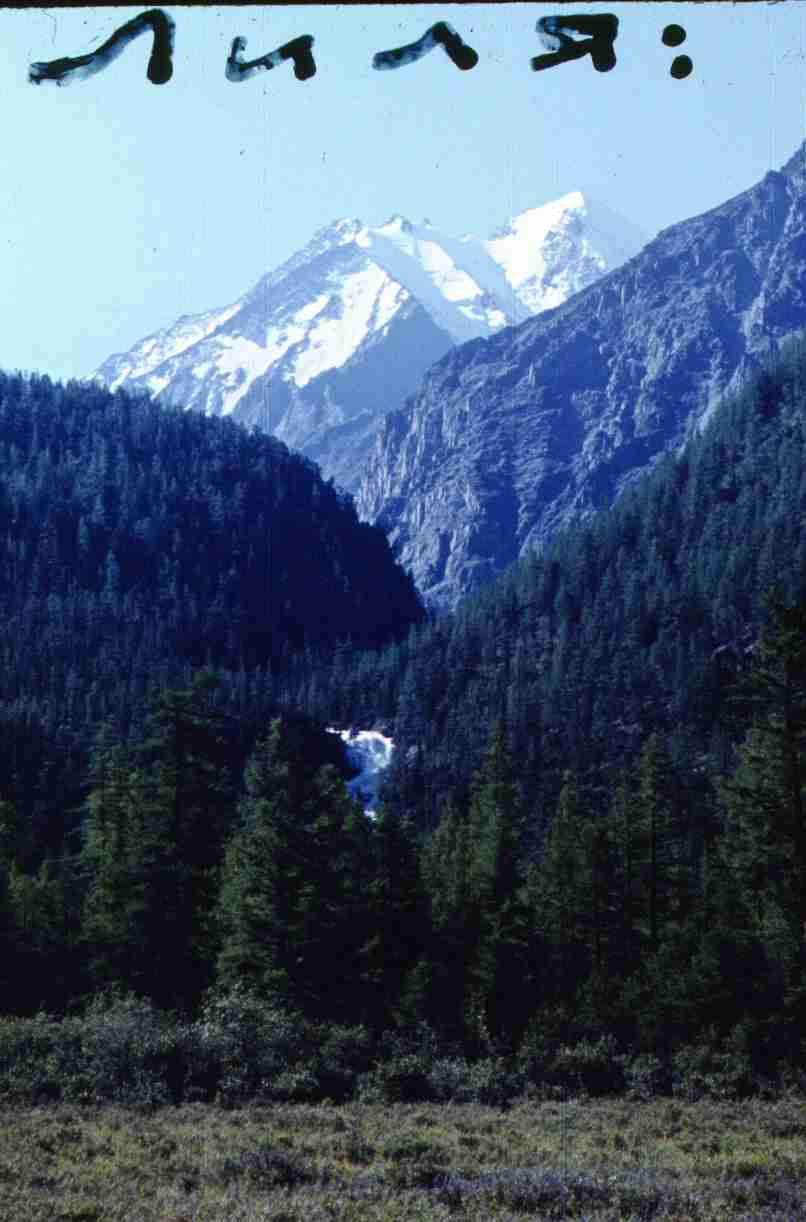 169.jpg