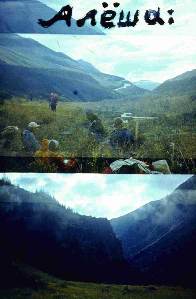 205.jpg