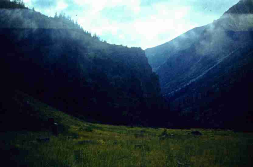 207.jpg