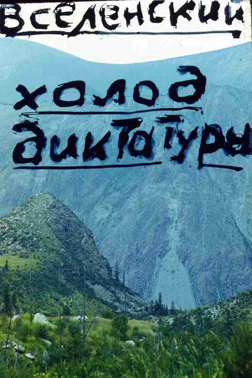 217.jpg