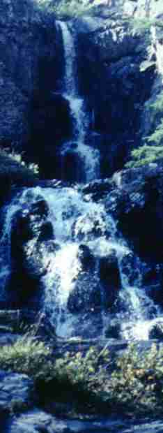 244-1.jpg