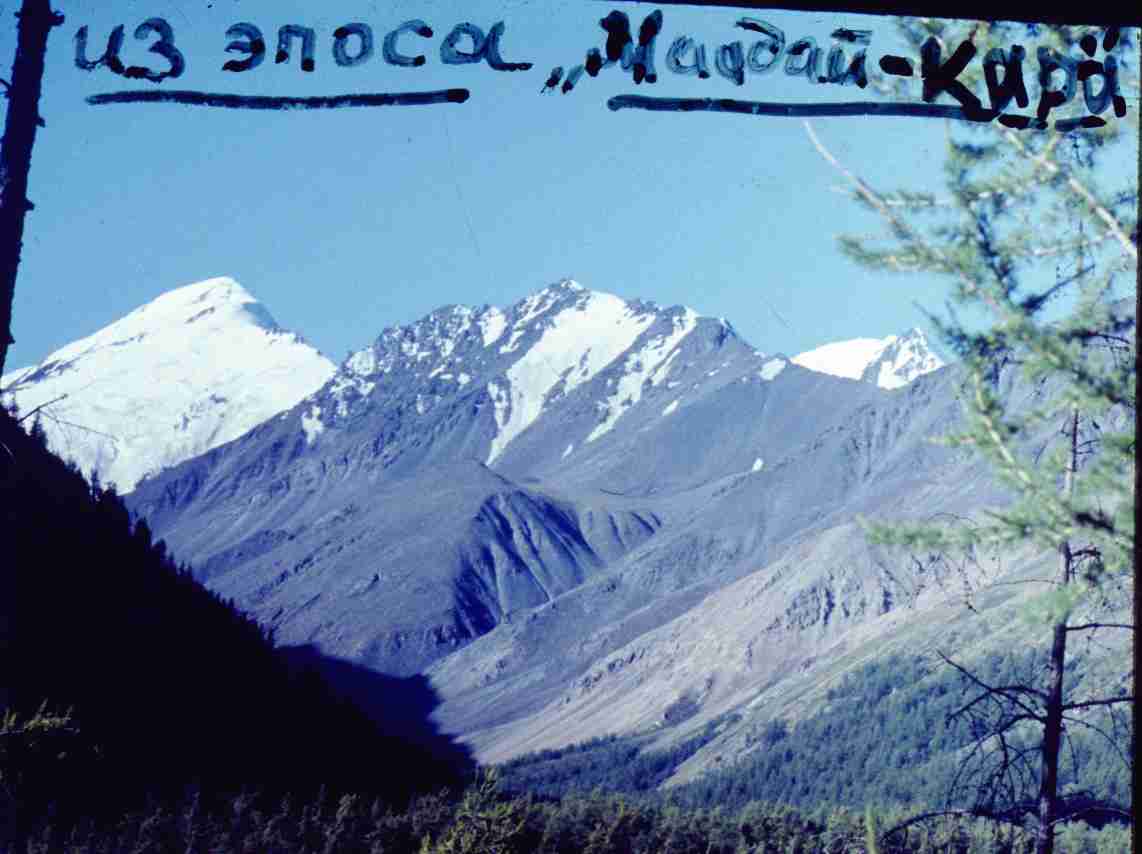 290.jpg