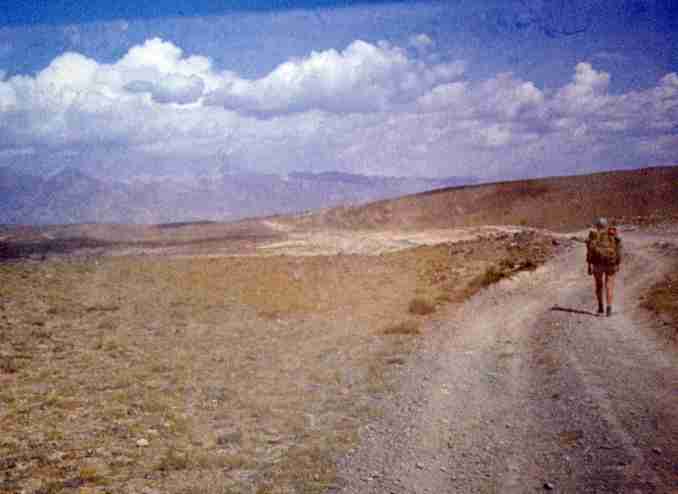 359.jpg