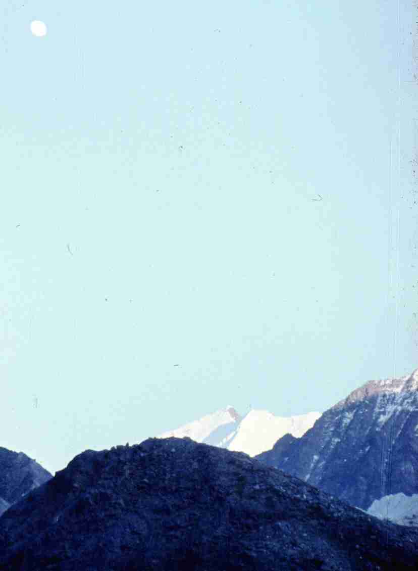 375.jpg