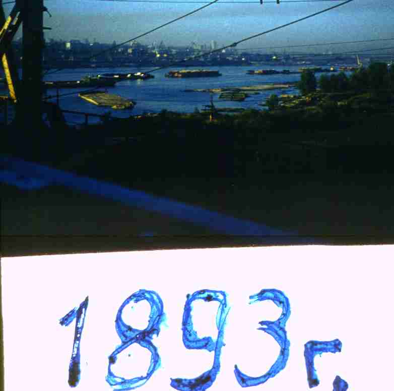 012.jpg