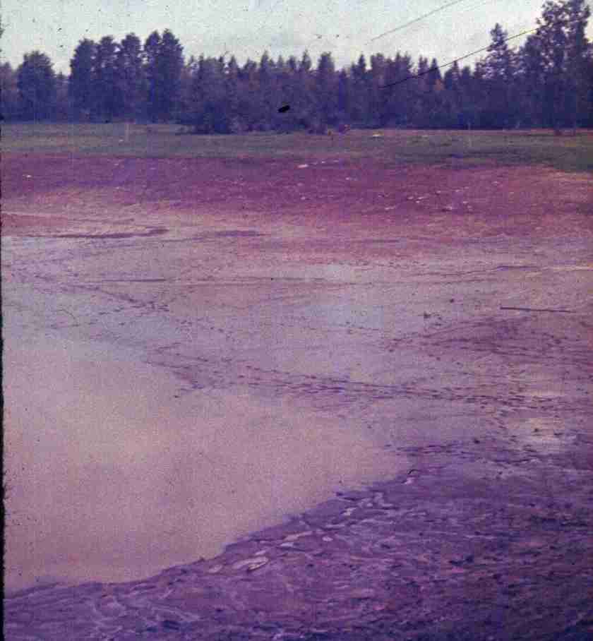 052.jpg
