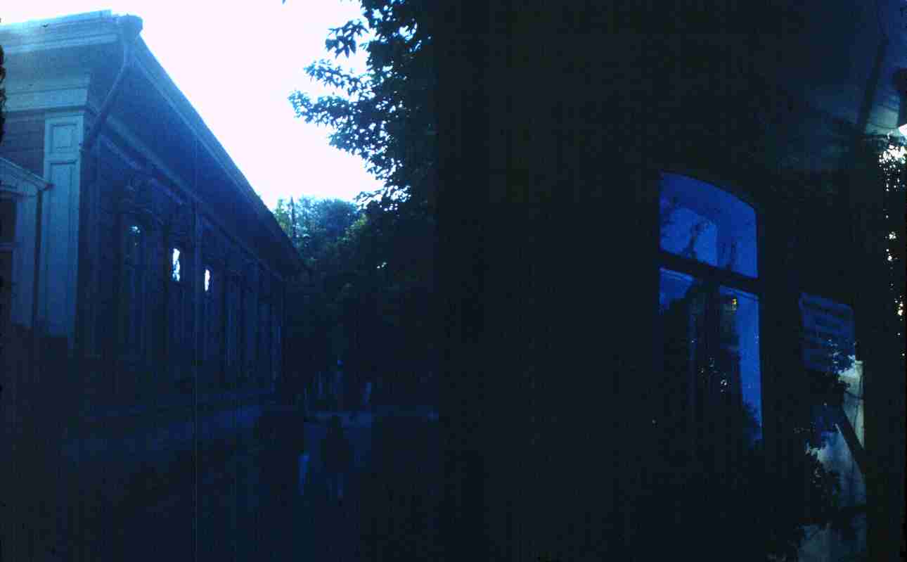 176.jpg