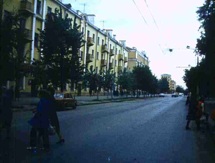 197.jpg