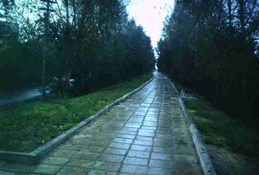 028-1.jpg