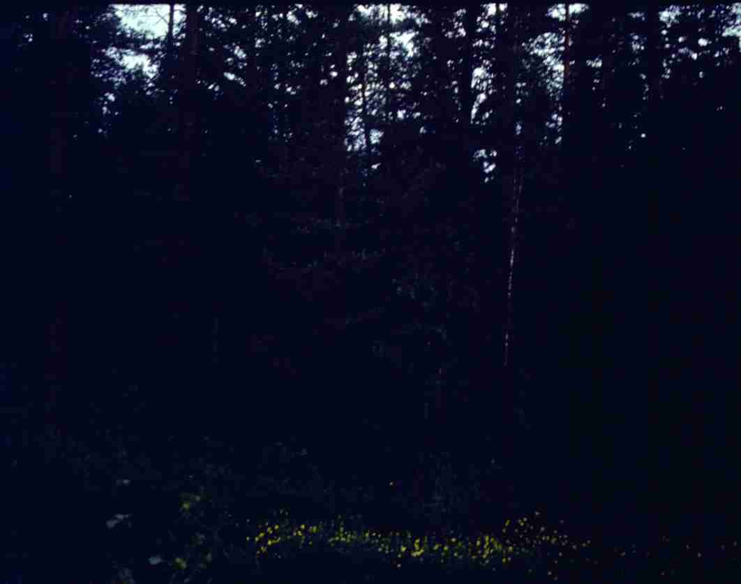 072.jpg
