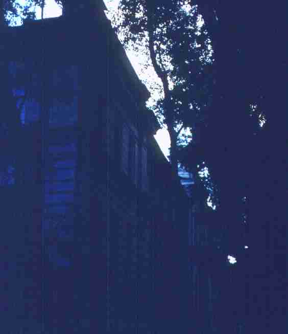 103.jpg