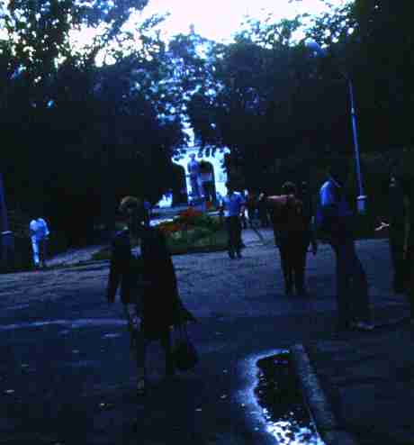 194.jpg