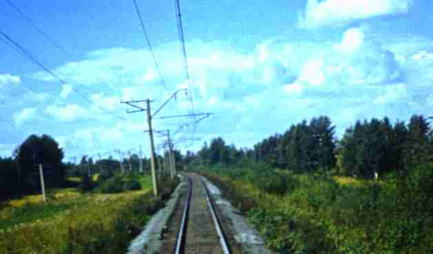216-1.jpg