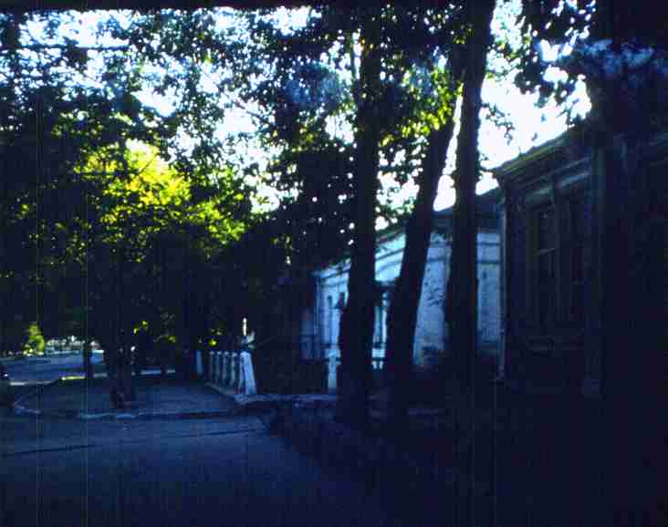 238.jpg