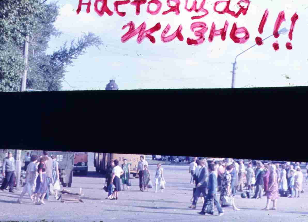 259.jpg