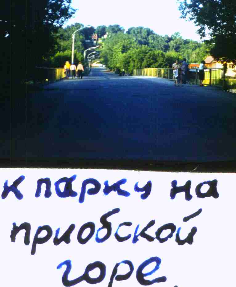 269.jpg