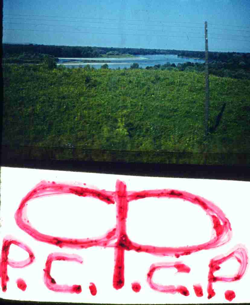 307.jpg