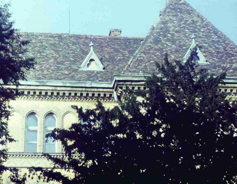 042.jpg